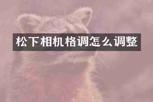 相机格调怎么调整