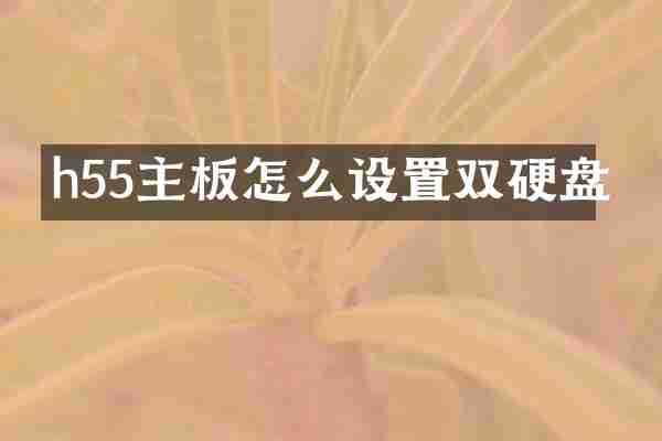 h55主板怎么设置双硬盘