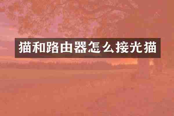 猫和路由器怎么接光猫