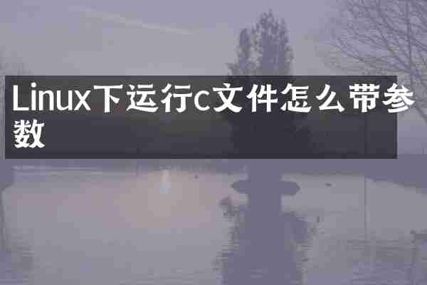 Linux下运行c文件怎么带参数