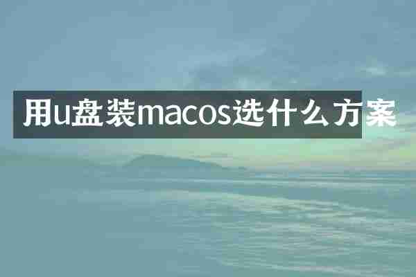 用u盘装macos选什么方案