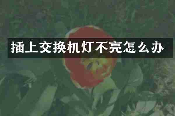 插上交换机灯不亮怎么办