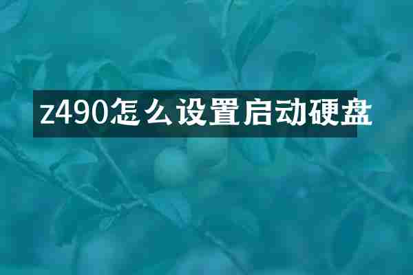 z490怎么设置启动硬盘
