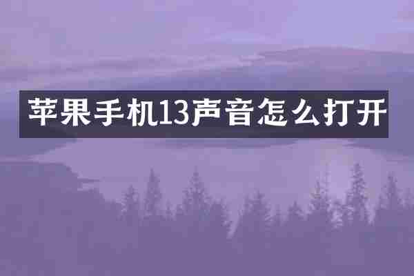 苹果手机13声音怎么打开