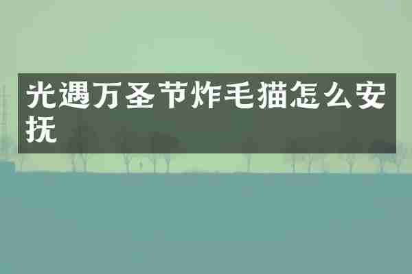 光遇万圣节炸毛猫怎么安抚