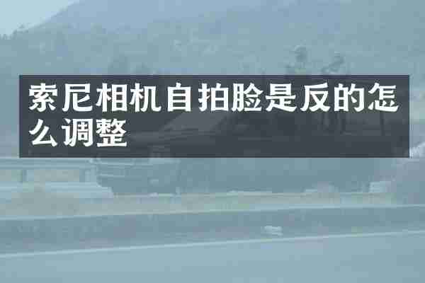 相机脸是反的怎么调整