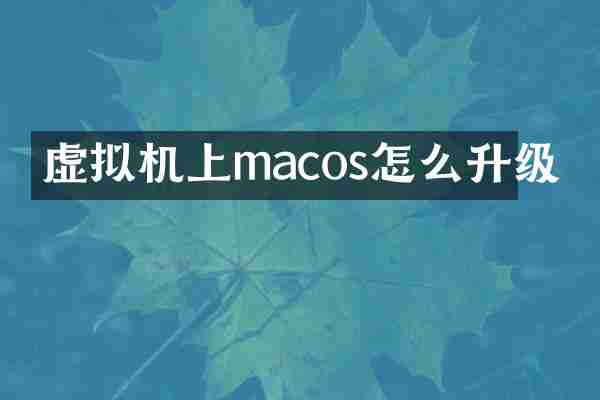 虚拟机上macos怎么升级