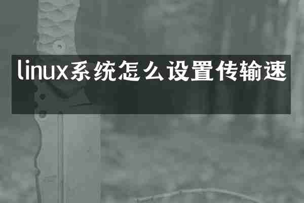 linux系统怎么设置传输速度