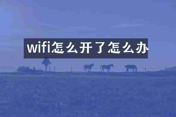wifi怎么开了怎么办