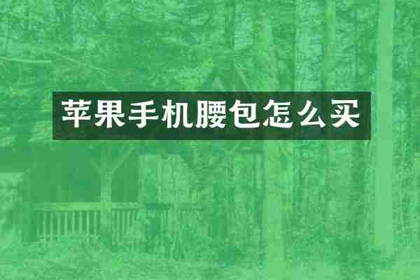 苹果手机腰包怎么买