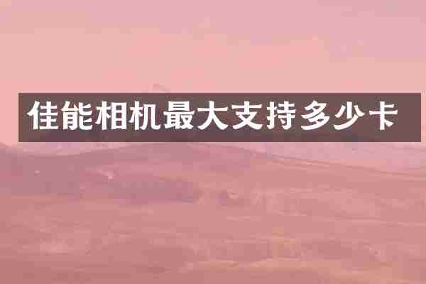 佳能相机最大支持多少卡