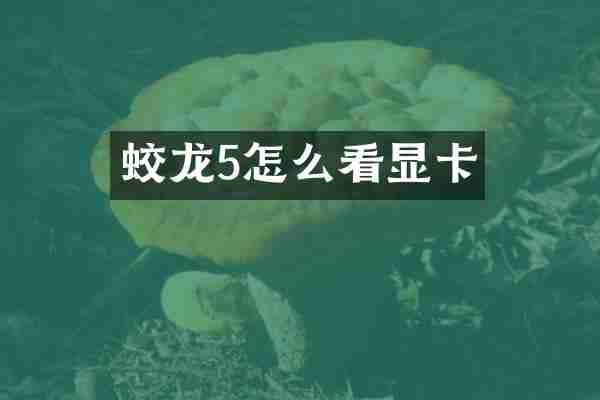 蛟龙5怎么看显卡