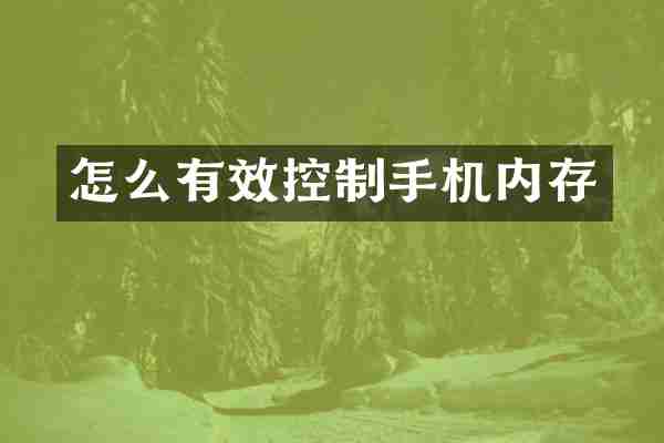 怎么有效控制手机内存