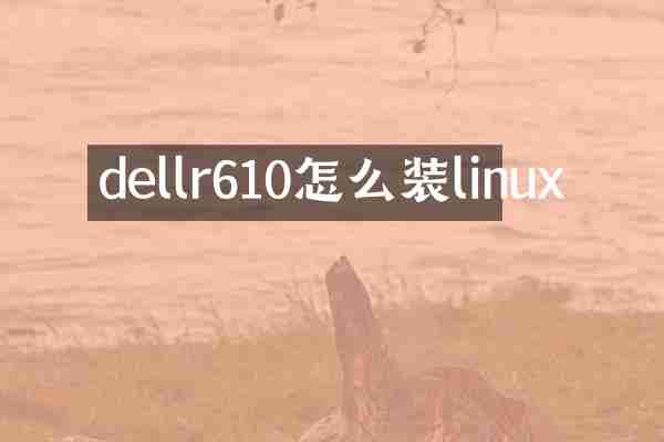 dellr610怎么装linux