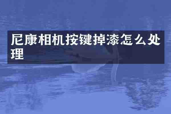 尼康相机按键掉漆怎么处理