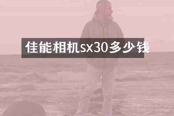 佳能相机sx30多少钱