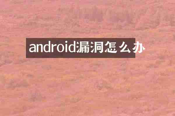 android漏洞怎么办