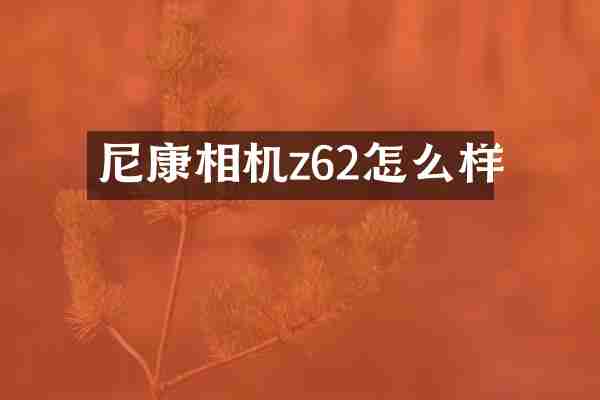 尼康相机z62怎么样
