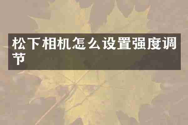 相机怎么设置强度调节
