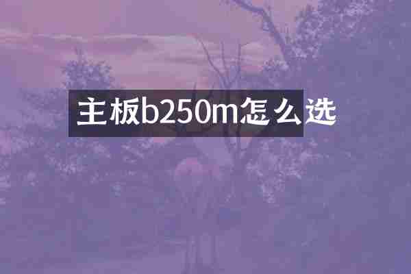 主板b250m怎么选