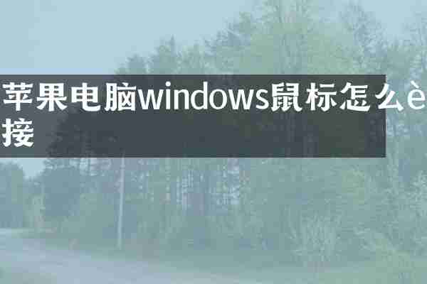 苹果电脑windows鼠标怎么连接