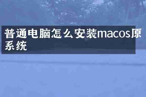 普通电脑怎么安装macos原版系统