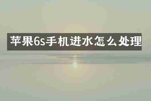 苹果6s手机进水怎么处理