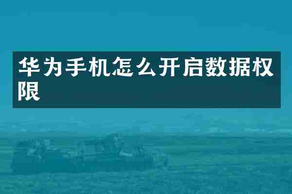 华为手机怎么开启数据权限