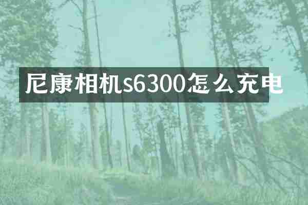 尼康相机s6300怎么充电