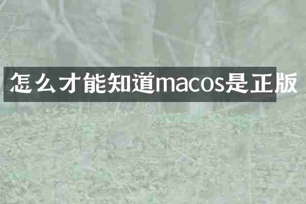 怎么才能知道macos是正版