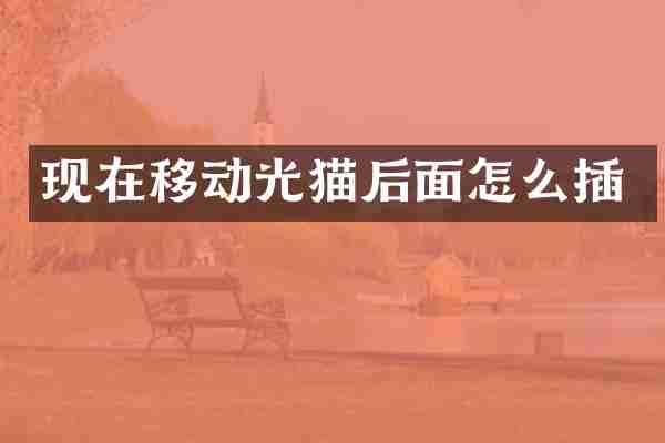 现在移动光猫后面怎么插