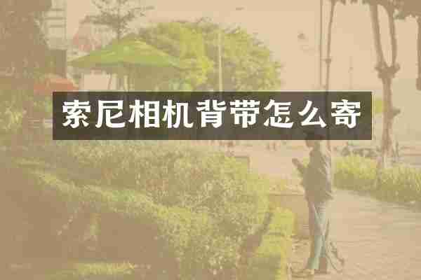 相机背带怎么寄