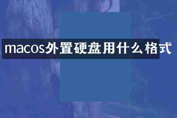 macos外置硬盘用什么格式
