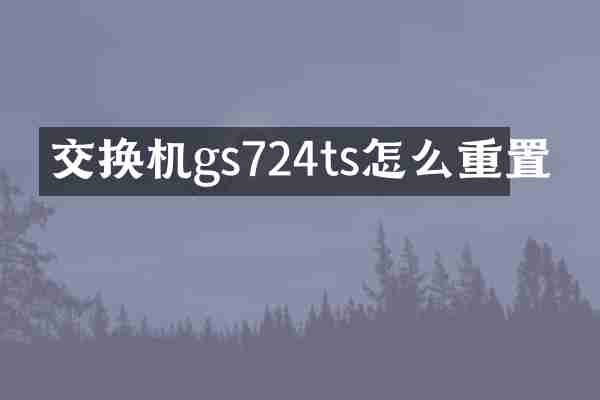 交换机gs724ts怎么重置