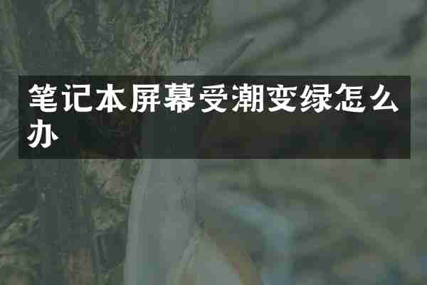 笔记本屏幕受潮变绿怎么办
