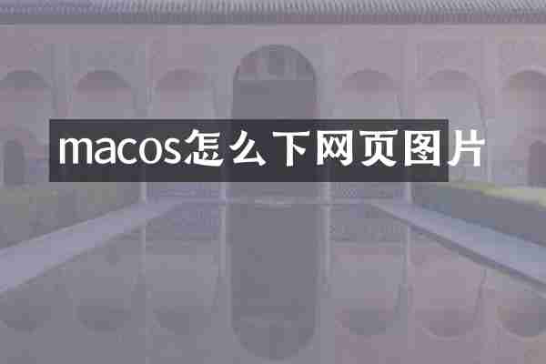 macos怎么下网页图片