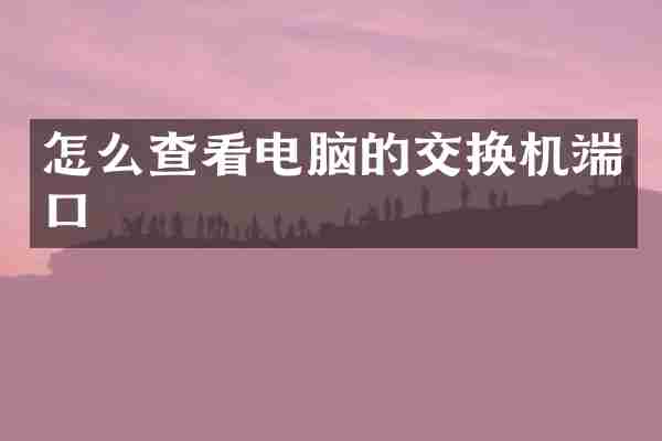 怎么查看电脑的交换机端口