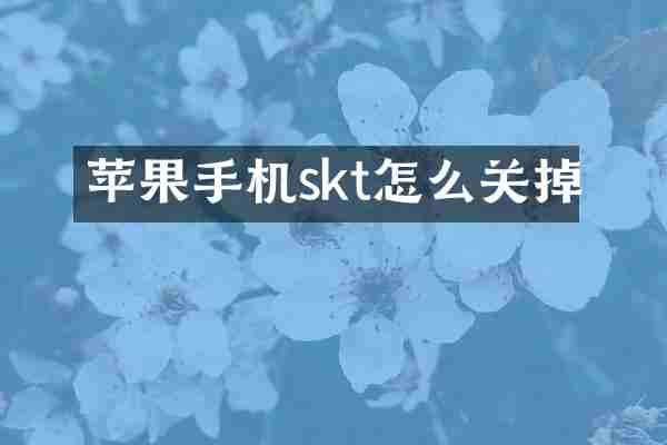 苹果手机skt怎么关掉