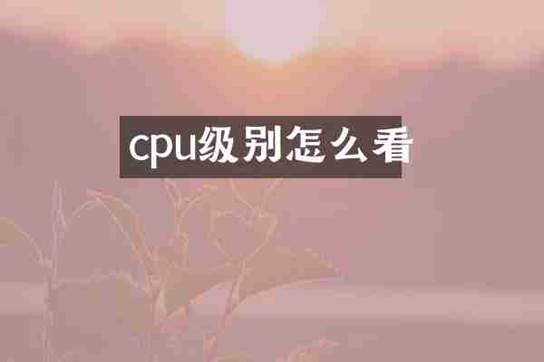 cpu级别怎么看