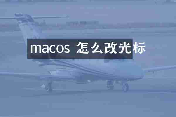 macos 怎么改光标