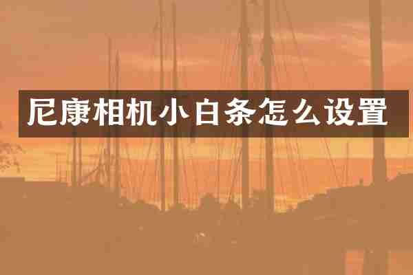 尼康相机小白条怎么设置