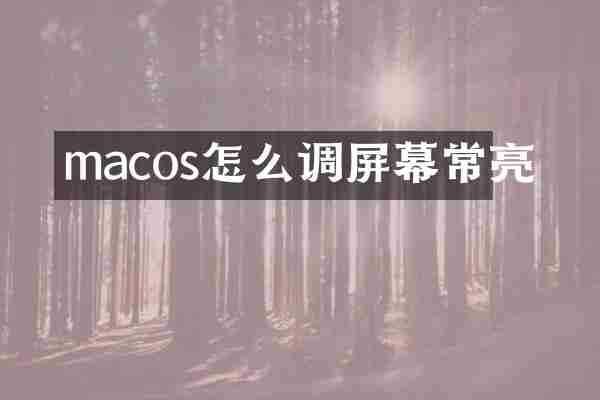 macos怎么调屏幕常亮