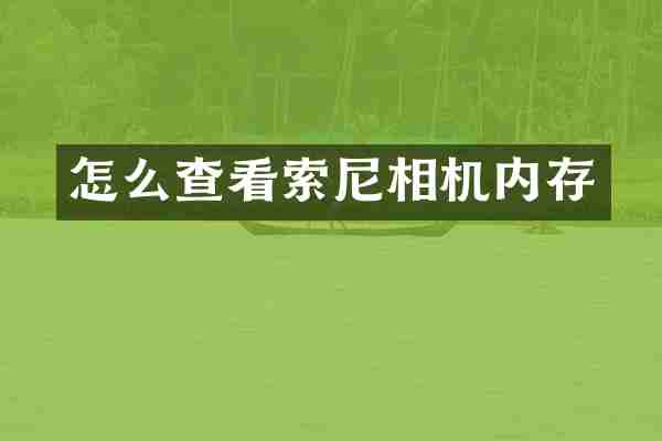 怎么查看相机内存