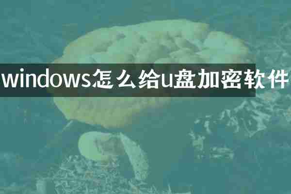windows怎么给u盘加密软件