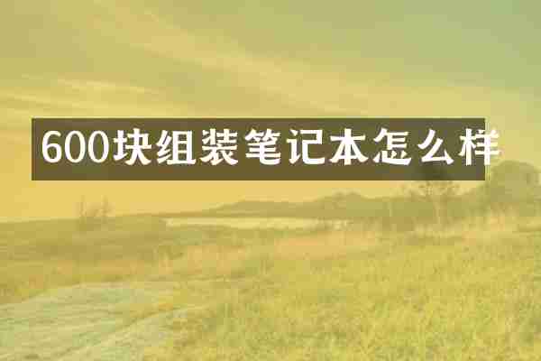600块组装笔记本怎么样