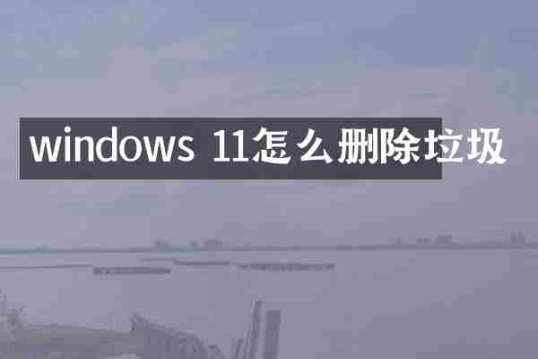 windows 11怎么删除垃圾