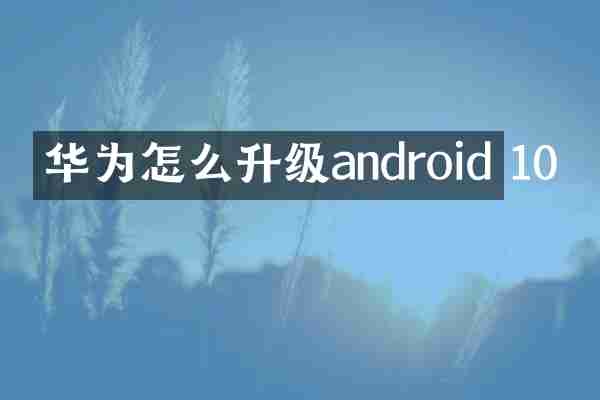 华为怎么升级android 10