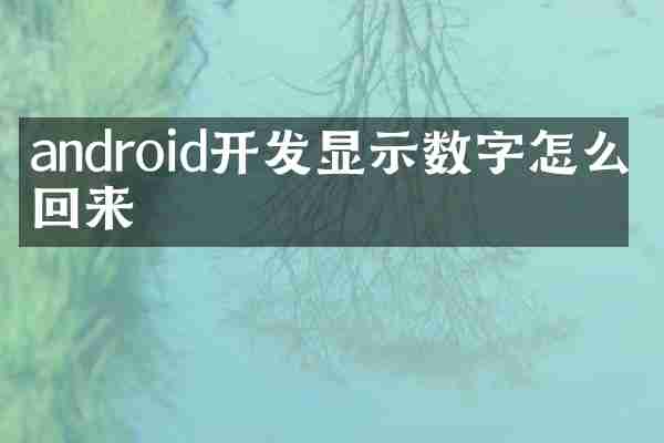 android开发显示数字怎么改回来
