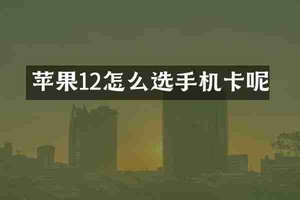 苹果12怎么选手机卡呢