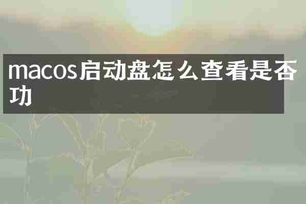 macos启动盘怎么查看是否成功